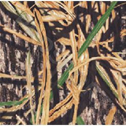 GA CAMO FORM Mossy Oak