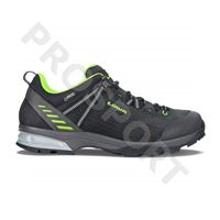 Lowa Ledro gtx lo UK10