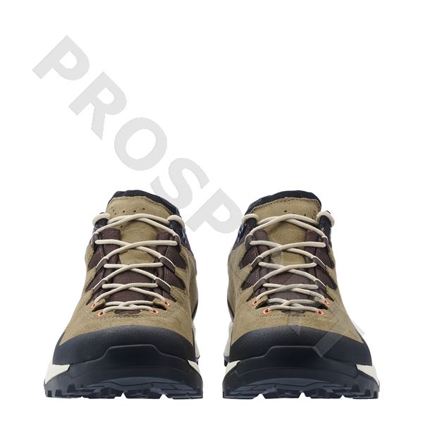 Lowa Explorer gtx lo UK7,5 brown